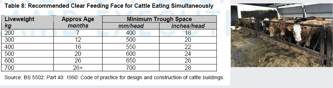 <p>• Feed barriers to allow animals to eat unhindered by other cattle.</p><p>• Also prevents food tossing which may put the feed beyond reach.</p><p>• All cattle to need to be able to access the feed barrier at the same time.</p><p></p><p></p>
