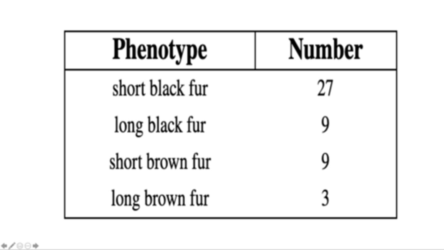<p>Determine the number of genes and alleles that control these phenotypes.</p>