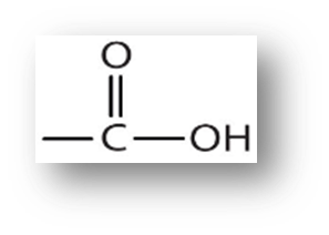 <p>These acids are weak in nature and are widely found in both plant and animal kingdoms. </p>