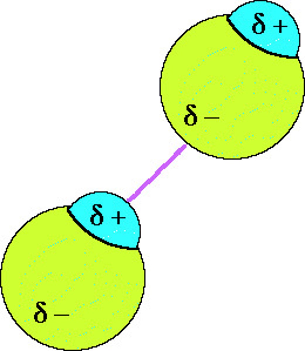 <p>attractions between oppositely charged regions of polar molecules</p>