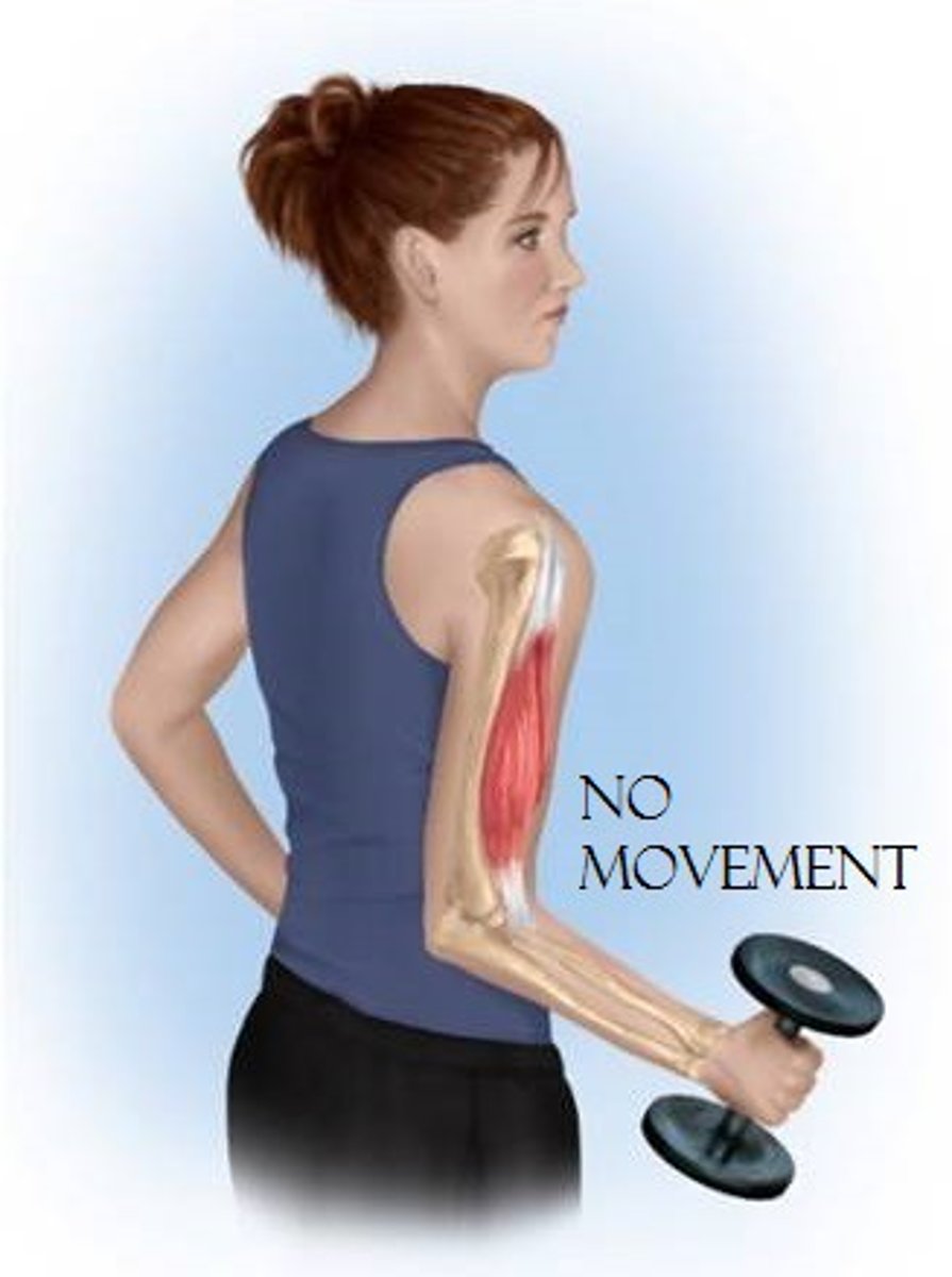 <p>Pushing against a wall or trying to lift a weight that is too heavy</p>