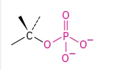 <p><span>OPO</span><sub>3</sub><sup>2−</sup></p>