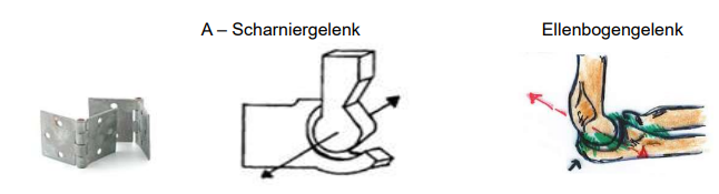 <p>Schaniergelenk</p><ul><li><p>zbsp.: Ellenbogengelenk</p></li></ul><p></p>