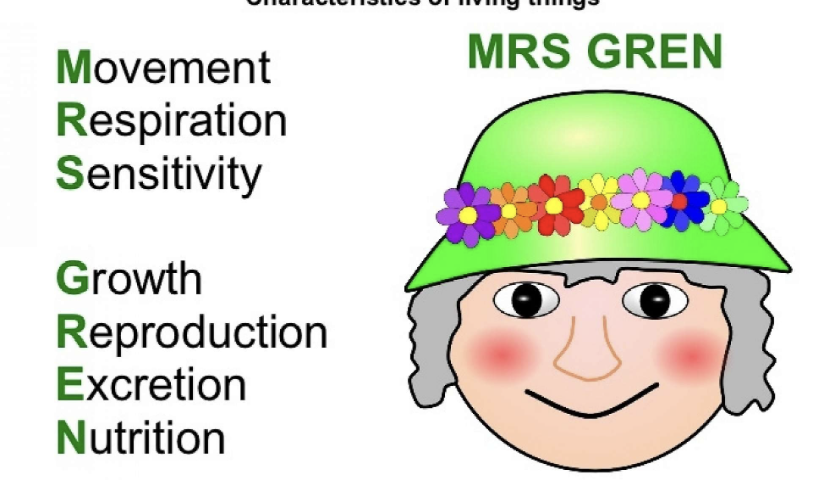 <p>Describe the characteristics of living organisms by defining respiration</p>