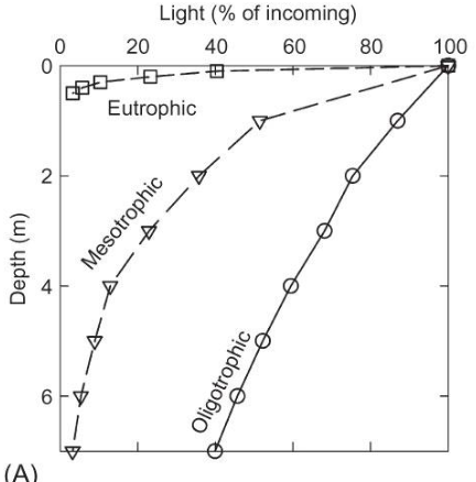 <p>explain this graph</p>