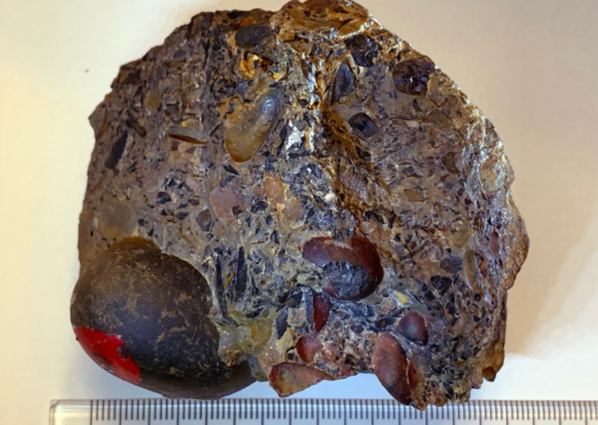<p>Name</p>