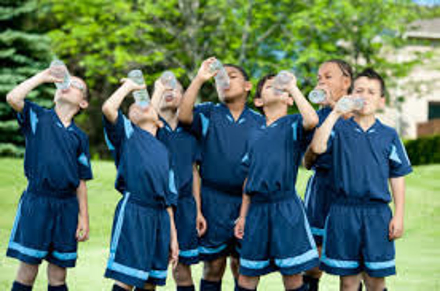 <p>they drank</p>