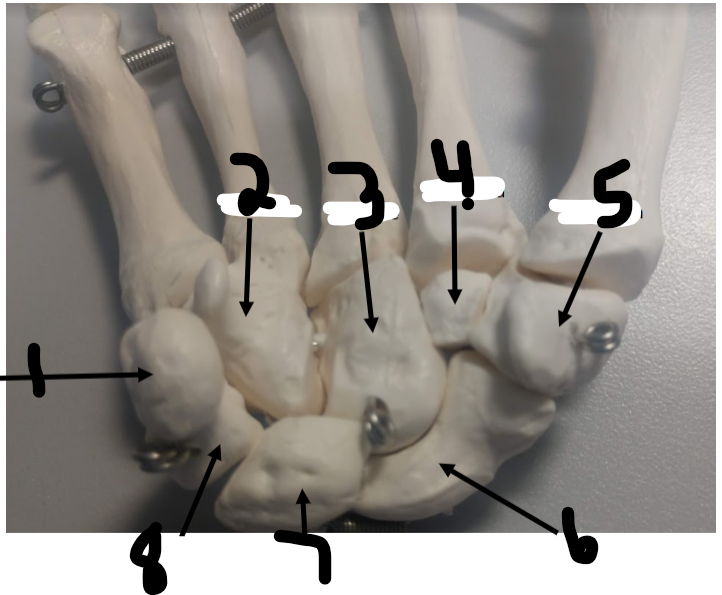 <p>What is 4?</p>