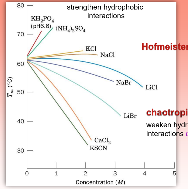 <ul><li><p>shows the effect of concentration and slats on Tm</p></li><li><p><strong>chaotropic salt</strong>s = reduce Tm &amp; destabilize protein</p><ul><li><p>make easier to denature &amp; unravel prot by<strong> weakening hydrophob bonds</strong></p></li></ul></li></ul><p></p>