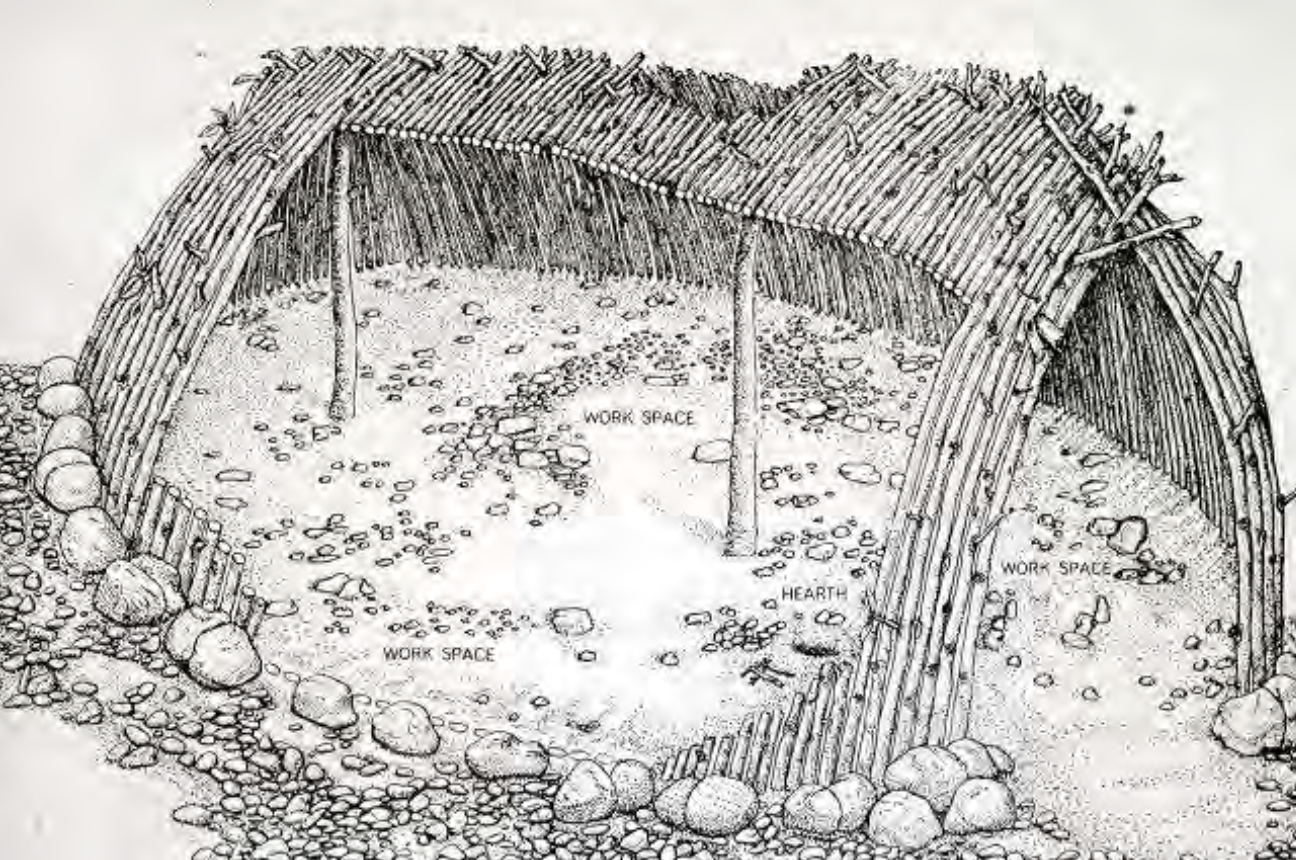 <p>Characteristics: </p>