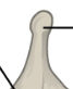 <p>Single posterior projection</p>