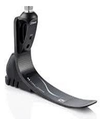 <ul><li><p><span style="color: red;"><strong><u><span>Variable cadence** (K3-K4)</span></u></strong></span></p></li><li><p>Ambulators + unlimited community ambulators</p><ul><li><p><span style="color: red;"><span>Active individuals (NOT FOR K2-1)</span></span></p></li></ul></li></ul><p></p>