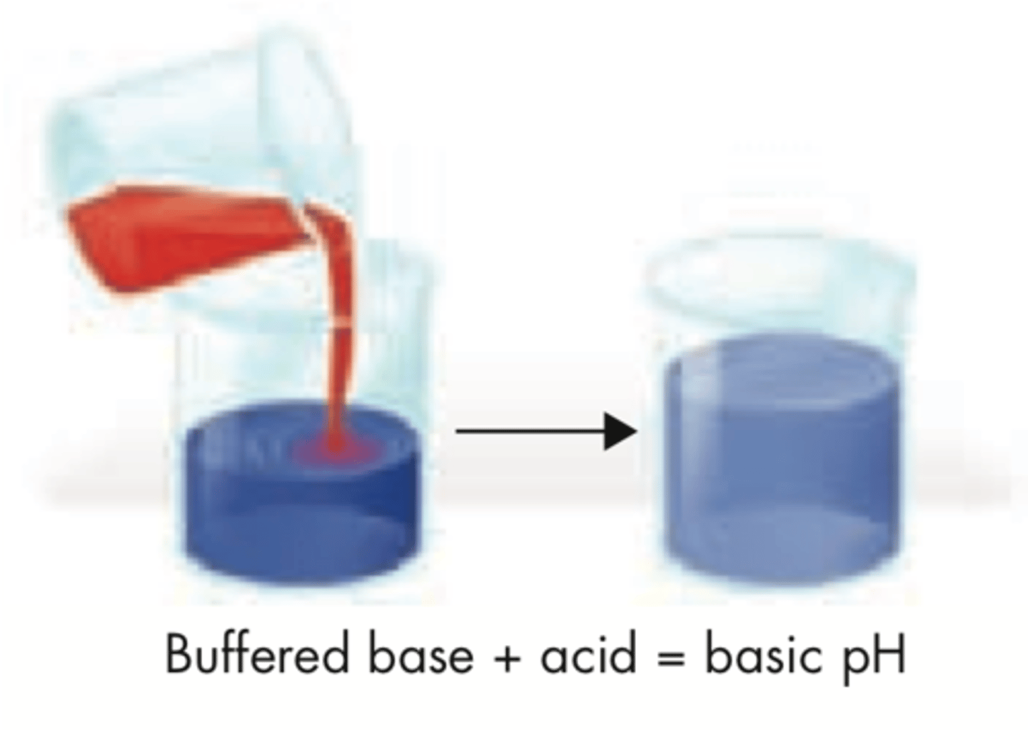 <p>compound that prevents sharp, sudden changes in pH</p>