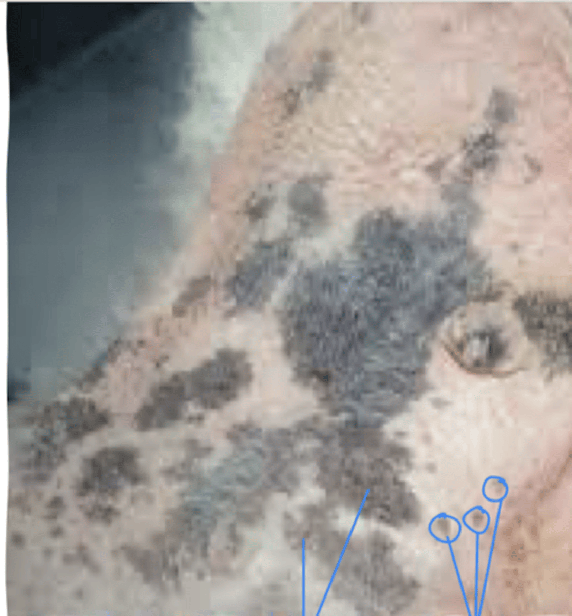 <p>what is this?</p>