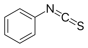 <p>N-terminal analysis</p><ul><li><p>Edman’s reagent </p></li><li><p>produces phenyl-thio-hyantoins (PTH-aa)</p></li></ul><p></p>