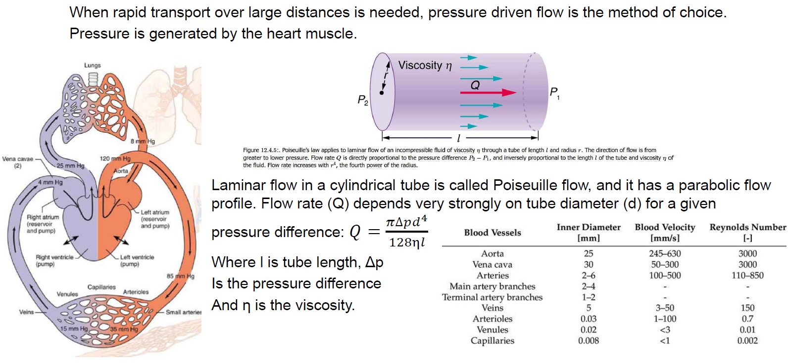 <p>is the movement of fluid through a conduit or around objects in a smooth, orderly manner, typically occurring in conditions of low viscosity and under a constant rate of flow.</p><p>Q = (<span>π</span> <span>Δp d^4</span>)/(128 µ l)</p>