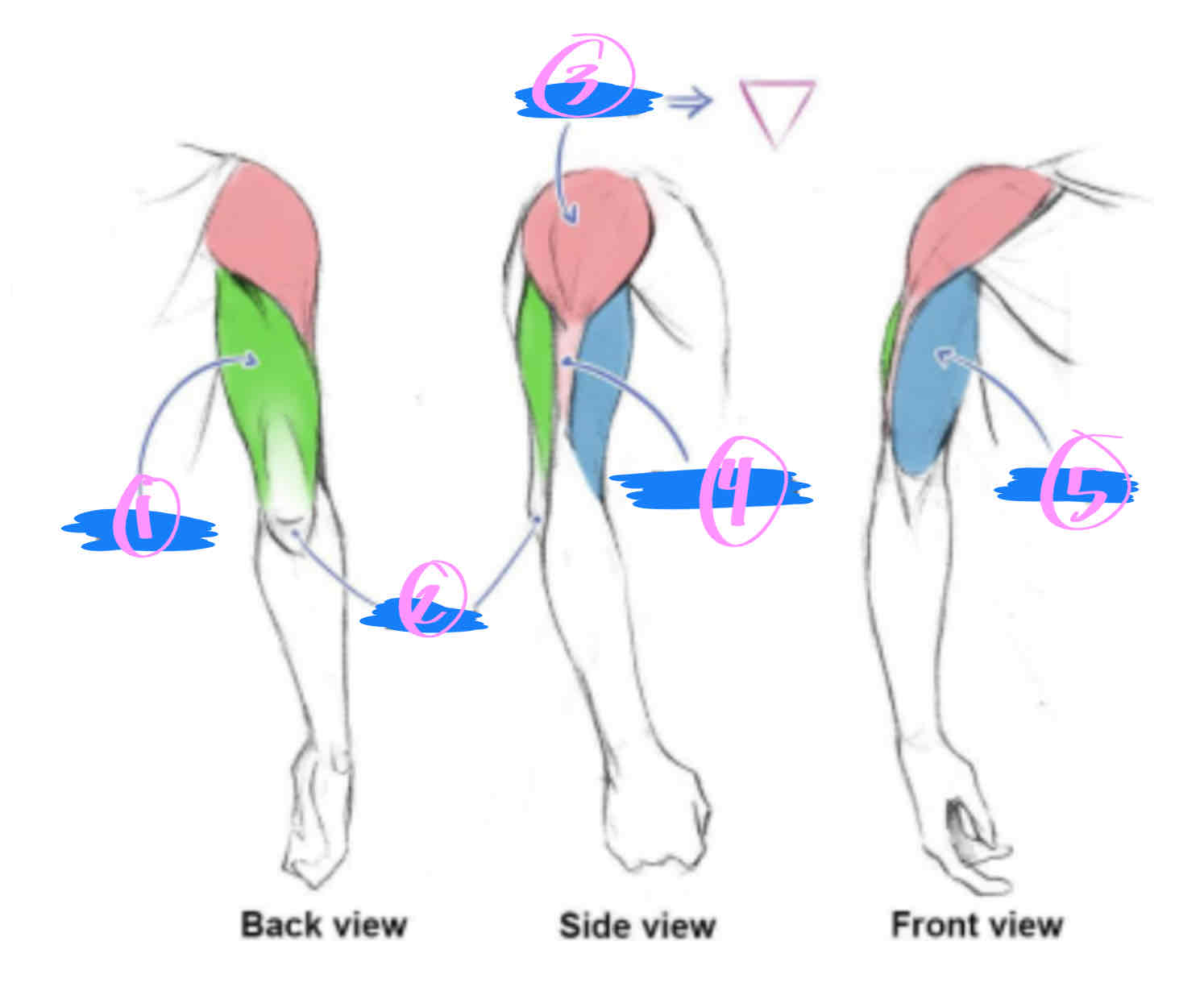 <p>4</p>