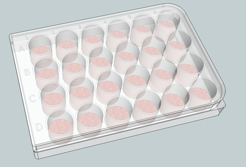 <p>WELL PLATE</p>