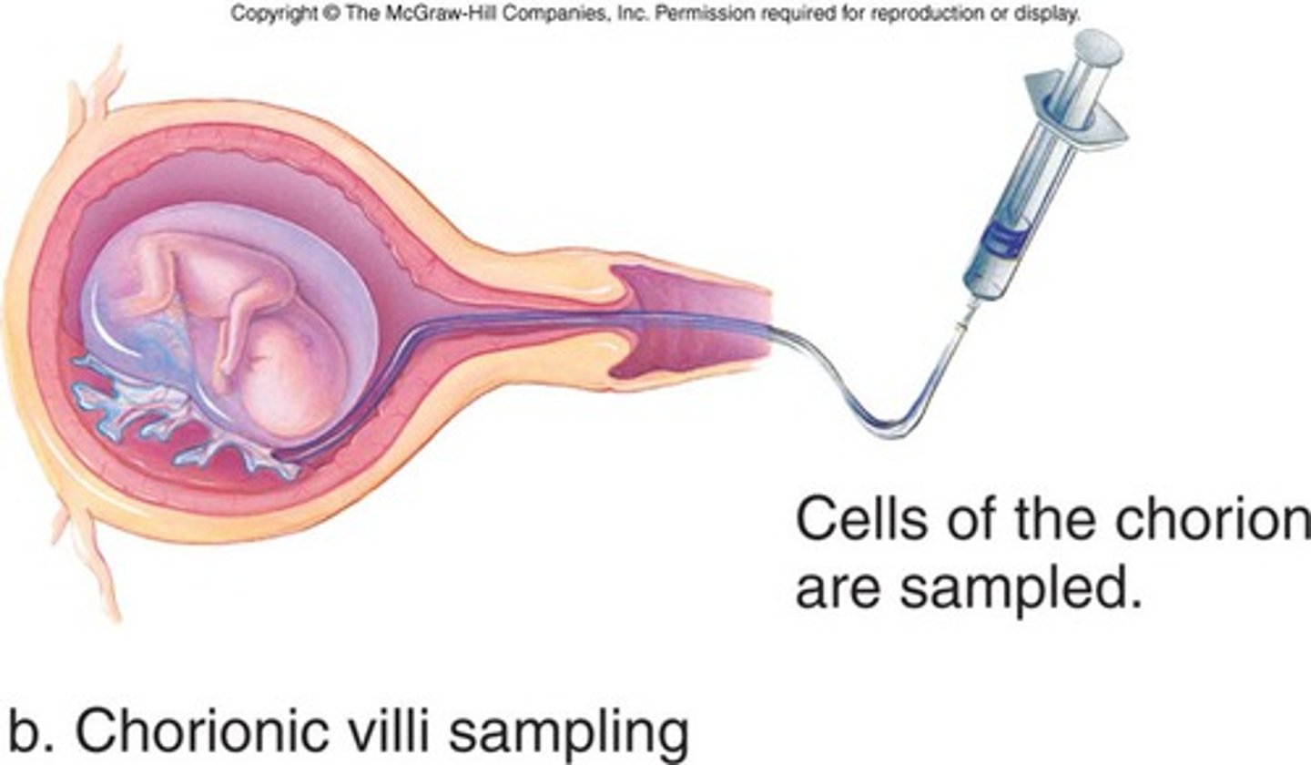 <p>10-12 weeks</p><p>Chorionic villus sampling (CVS) is a prenatal test that diagnoses chromosomal abnormalities such as Down syndrome, as well as a host of other genetic disorders. The doctor takes cells from tiny fingerlike projections on your placenta called the chorionic villi and sends them to a lab for genetic analysis.</p>