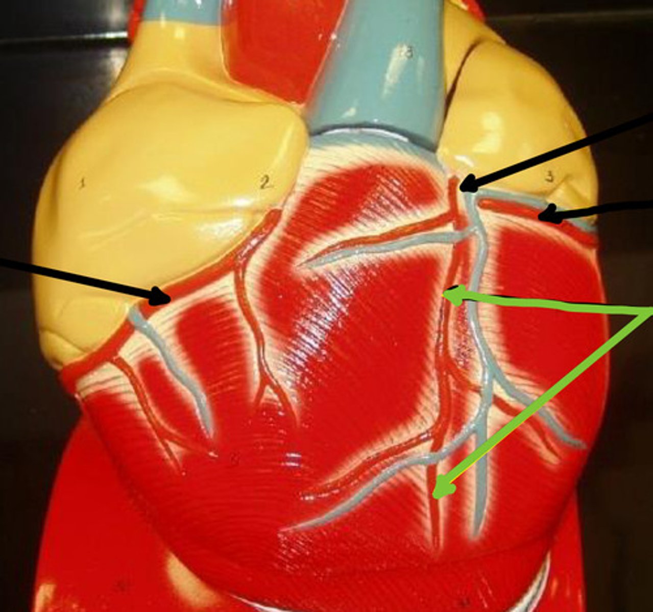 knowt flashcard image