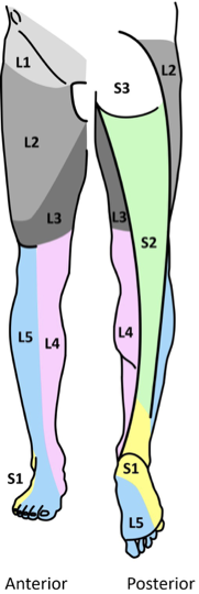 <p>see map</p>