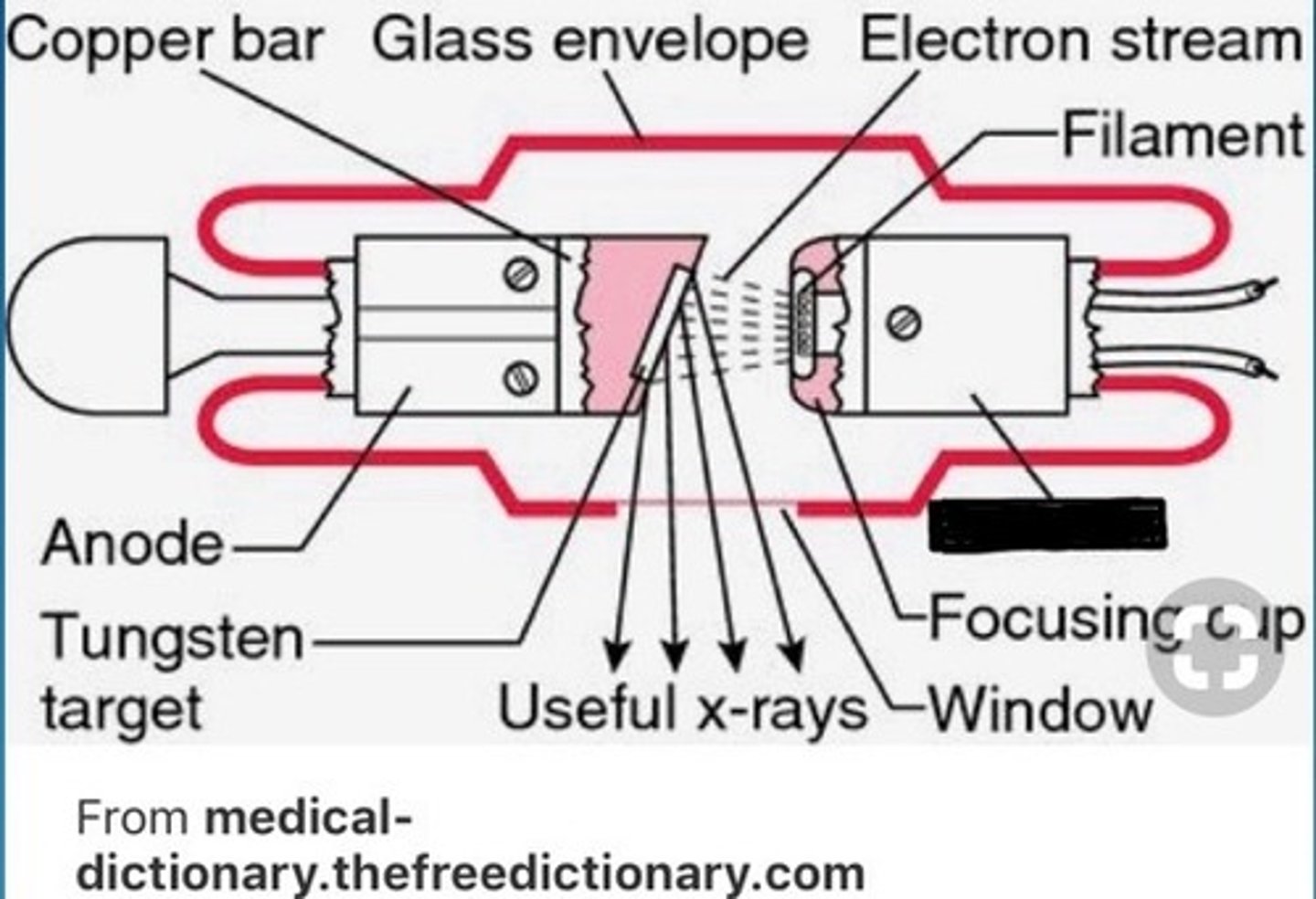 <p>Negative end (electrons negative); contains the filament</p>