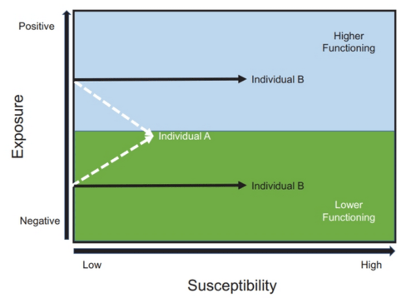 <p>A model of disease risk in which people carrying certain genotypes are more sensitive to both negative and positive environmental exposure than are those carrying other genotypes.</p>