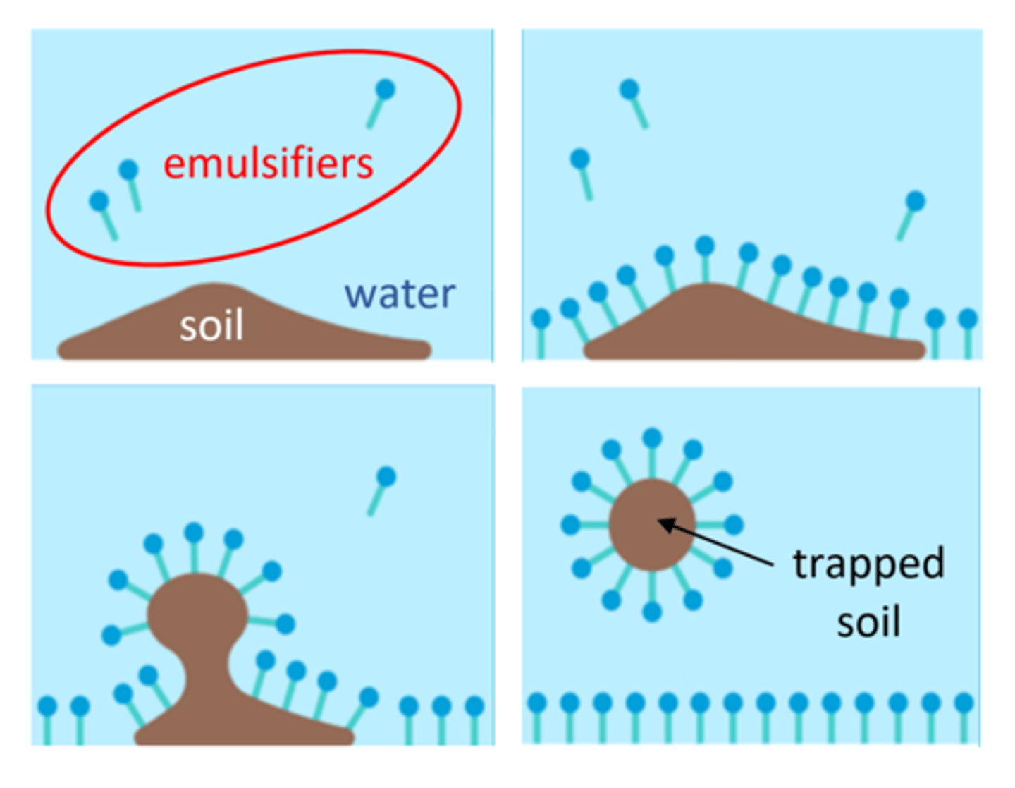 <p>a detergent ingredient used to bind together substances that typically don't combine, such as oil &amp; water</p>