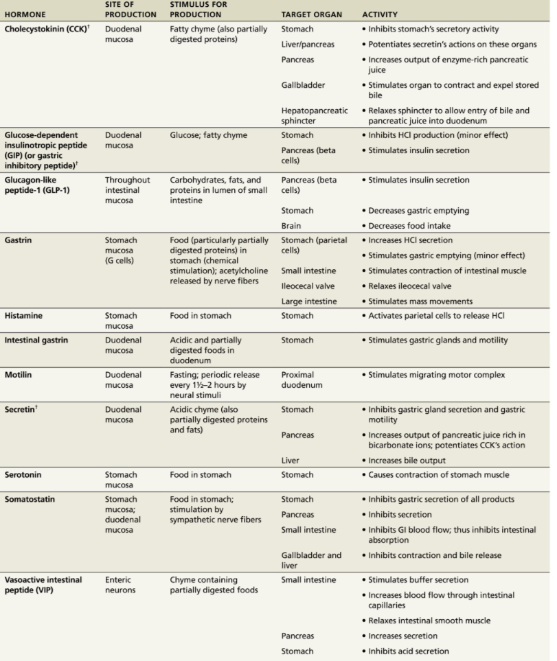 <ul><li><p>secrete Hormones:</p><ul><li><p><u>gastrin </u>(needed for HCL secretion; opening of pyloric sphincter, regulating stomach’s secretion and motility)</p></li><li><p><u>ghrelin </u>(stimulates appetite, gastric motility and opening) &amp; somatostatin</p></li></ul></li><li><p>Paracrines: histamine and serotonin</p><ul><li><p>paracrine: acts on structures close by</p></li></ul></li></ul><p></p>