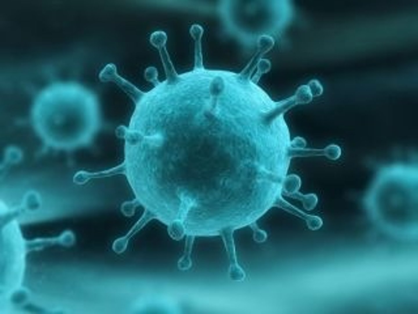 <p>Microbes that cause disease</p>