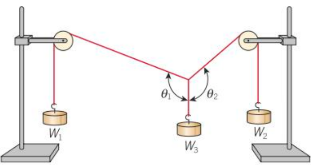 <p>One can use weights and pulleys to demonstrate the parallelogram of forces:</p><ul><li><p>The tension in each string is equal to the weight it supports.</p></li><li><p>The point where the three strings meet is at rest.</p></li><li><p>The string supporting the middle weight is vertical.</p></li><li><p>You can measure the angles <span>θ</span><em><span>1</span></em><span> and θ</span><em><span>2</span></em><span> with a protractor.</span></p></li><li><p><span>You can note the values of the three known weights.</span></p></li></ul><p>You can then draw a scale diagram of a parallelogram so that:</p><ul><li><p>The line down the centre of the diagram represents the vertical line through the point where the three strings meet.</p></li><li><p>Adjacent sides of the parallelogram at angles <span>θ</span><em><span>1</span></em><span> and θ</span><em><span>2</span></em><span> to the vertical line represent the tensions in the strings supporting the weights.</span></p></li><li><p><span>The resultant force of the weights represented by the diagonal line should be equal and opposite in direction to the vector representing the middle weight.</span></p></li></ul>