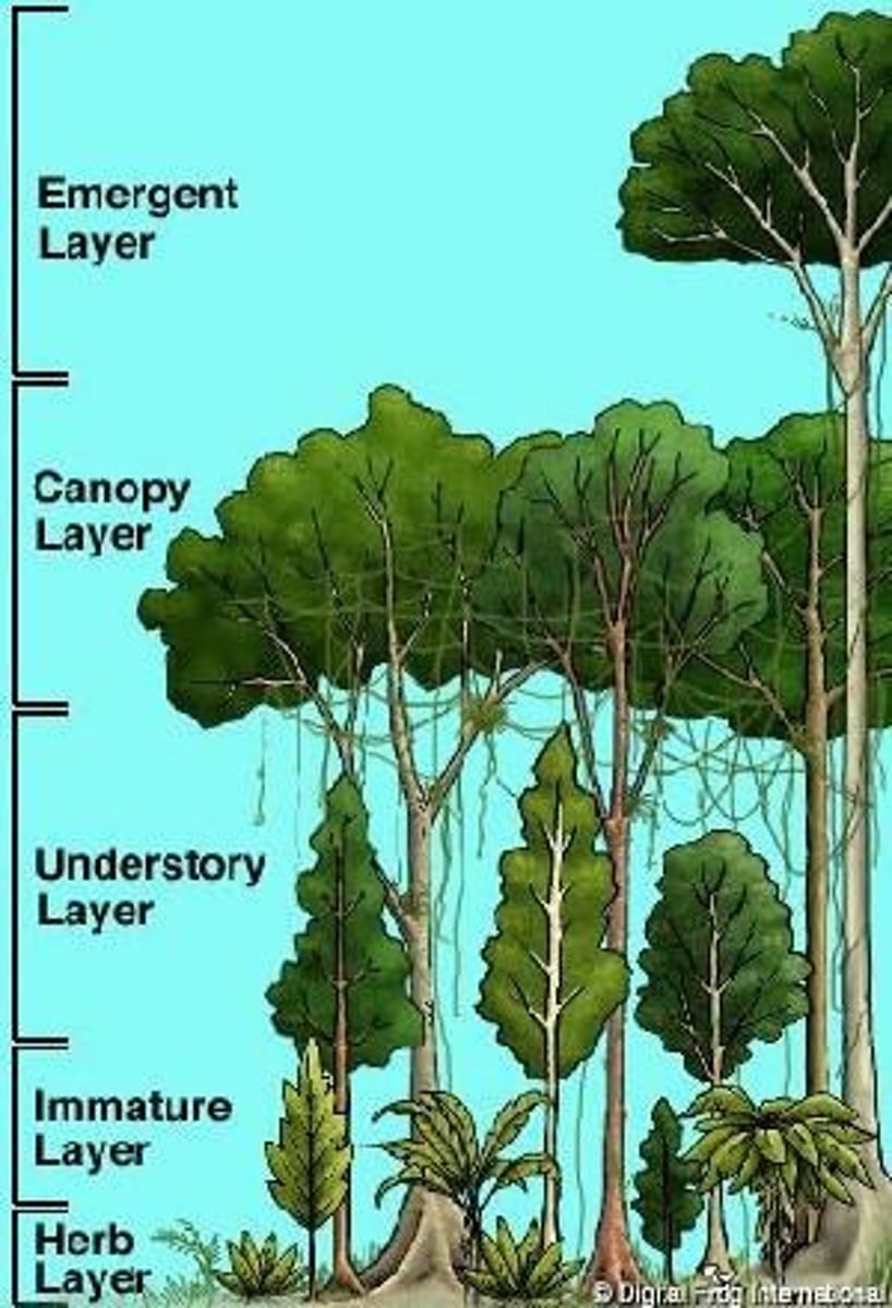 <p>Cultivation of plants and livestock for food production.</p>