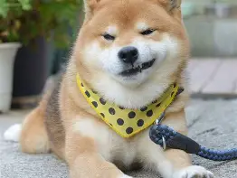 <p><span><span>he gave me a conceited little smile after seeing my failure</span></span></p>