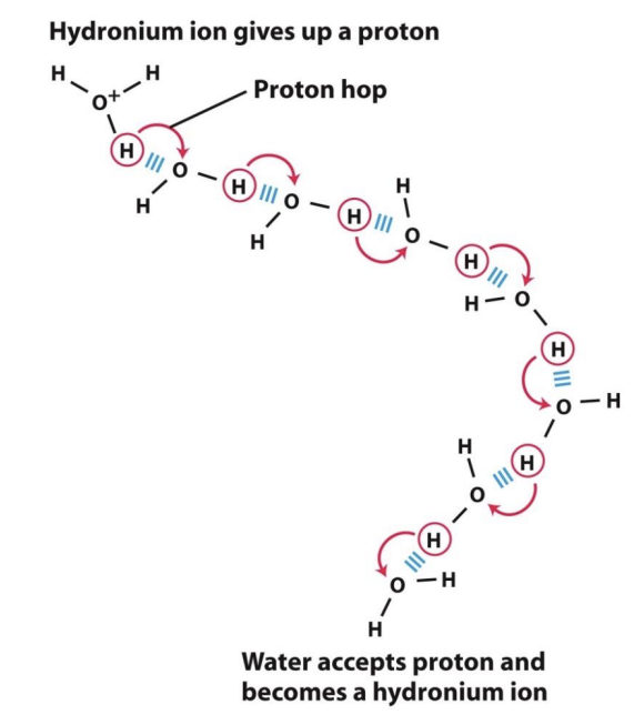 <ul><li><p>oksonijev ion je v vodnih razt. nosilec kislih lastnosti → kratkoživ (10<sup>-13</sup> s)</p><ul><li><p>molekule vode si protone neprestano podajajo (štafetni mehanizem, bistveno hitrejši od difuzije)</p></li><li><p>biološki pomen: prenost protonov skozi tilakoidno membrano</p></li></ul></li></ul><p></p>