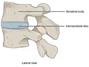 <p>between two structures</p>