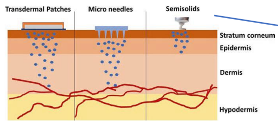 <ol><li><p>Example of products that interact with <strong>stratum corneum </strong></p></li><li><p>Example of products that remain on skin surface</p></li><li><p>Example of products that reach the dermis or epidermis layers </p></li></ol>