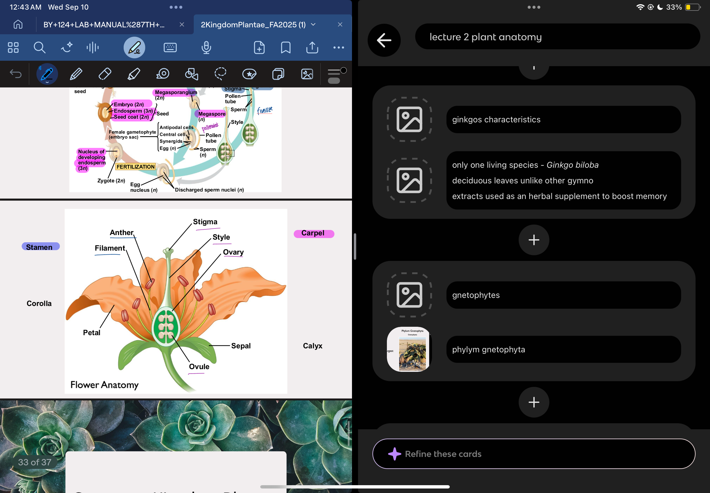 knowt flashcard image