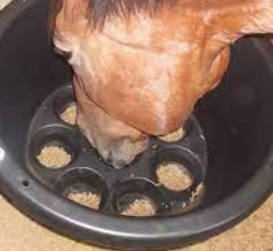 <p>-soft feed</p><p>-dental care (dont over-float)</p><p>-slow down eating (slow feeders/hay nets)</p><p>-eliminate hay from diet in older horses with expired teeth</p><p>-special diets for horses with esophageal abnormalities</p>