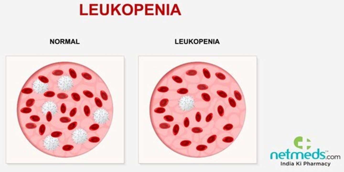 <p>a decrease in white blood cells die to radiation/chemotherapy; an increase in glucocorticoids happens alongside it</p>