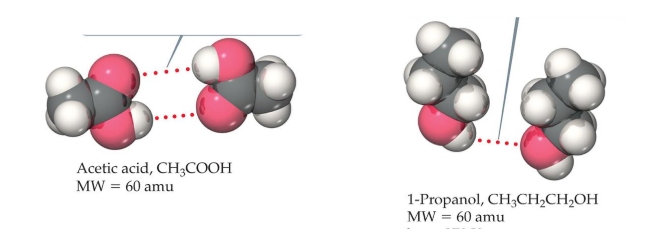 <p><span style="background-color: transparent;">Which will have a higher boiling point, and why?</span></p>