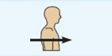 <p>toward or at the front of the body; in front of <br><br>example: the breastbone  is anterior to the spine </p>