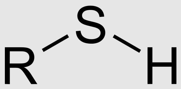 <p>Functional group with the chemical formula -SH. Referred to as thiols and are slightly polar.</p>