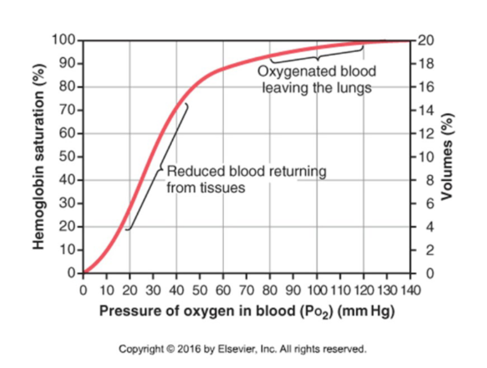 <p>What is the shape of the O2-Hb dissociation curve at tissue and lung PO2 levels?</p>