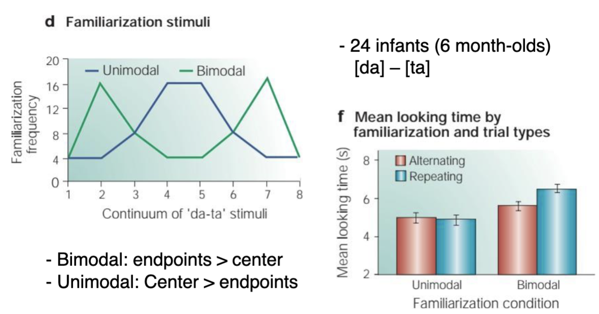 <p><span data-name="brain" data-type="emoji">🧠</span> <strong>Categorical Learning via Statistical Input</strong> <strong>Study setup</strong>: </p><ul><li><p class=""><span data-name="baby" data-type="emoji">👶</span> <strong>24 infants</strong> (6 months old)</p></li><li><p class="">Tested on distinguishing the speech sounds <strong>[da]</strong> and <strong>[ta]</strong></p></li><li><p class="">Familiarization used a continuum of speech stimuli between [da] and [ta]</p></li></ul><p> </p><p><span data-name="mag" data-type="emoji">🔍</span> <strong>Two Conditions:</strong> </p><ol><li><p class=""><strong>Bimodal distribution (green line)</strong></p><ul><li><p class="">High exposure at <strong>endpoints</strong> of the continuum</p></li><li><p class="">Leads to <strong>better categorization</strong> of [da] vs [ta]</p></li></ul></li><li><p class=""><strong>Unimodal distribution (blue line)</strong></p><ul><li><p class="">High exposure at <strong>center</strong> of the continuum</p></li><li><p class=""><strong>Blurs category boundaries</strong></p></li></ul></li></ol><p> </p><p><span data-name="bar_chart" data-type="emoji">📊</span> <strong>Outcome (Right graph)</strong>: </p><ul><li><p class="">Infants in the <strong>bimodal</strong> condition showed <strong>greater discrimination</strong>:</p><ul><li><p class=""><strong>Longer looking time</strong> in "alternating" trials (novelty preference)</p></li></ul></li><li><p class="">Infants in the <strong>unimodal</strong> condition treated sounds as more similar (less categorization)</p></li></ul><p> </p><p><span data-name="jigsaw" data-type="emoji">🧩</span> <strong>Conclusion</strong>: <strong>Statistical learning → Categorical perception</strong><br>Infants use frequency distributions to learn <strong>phoneme categories</strong>.</p>