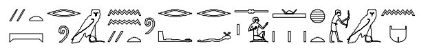term image