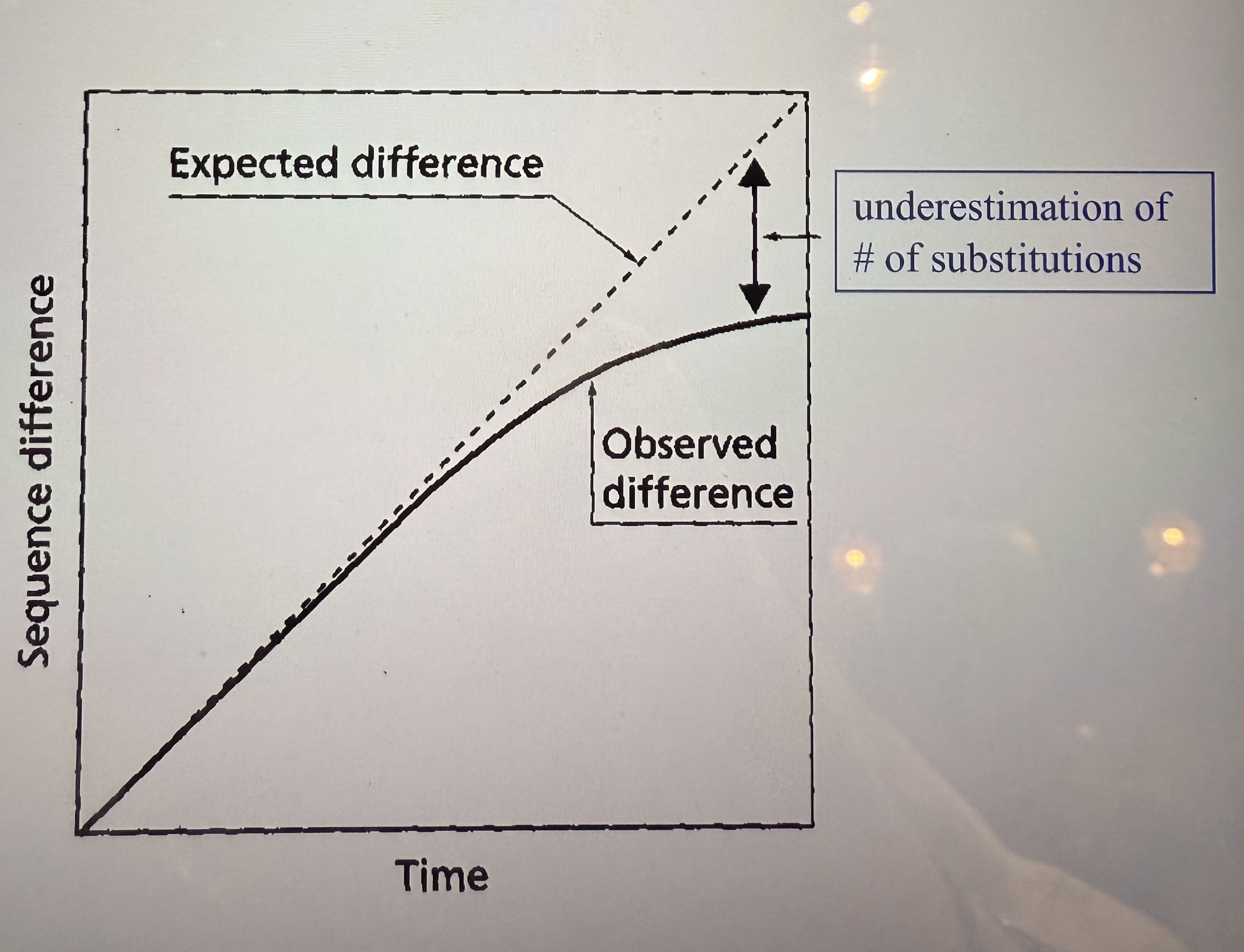<p>Expected difference is perfectly linear, but observed difference flattens at the end. Difference between the expected linear &amp; observed asymptote is the [underestimation of # substitutions]</p>