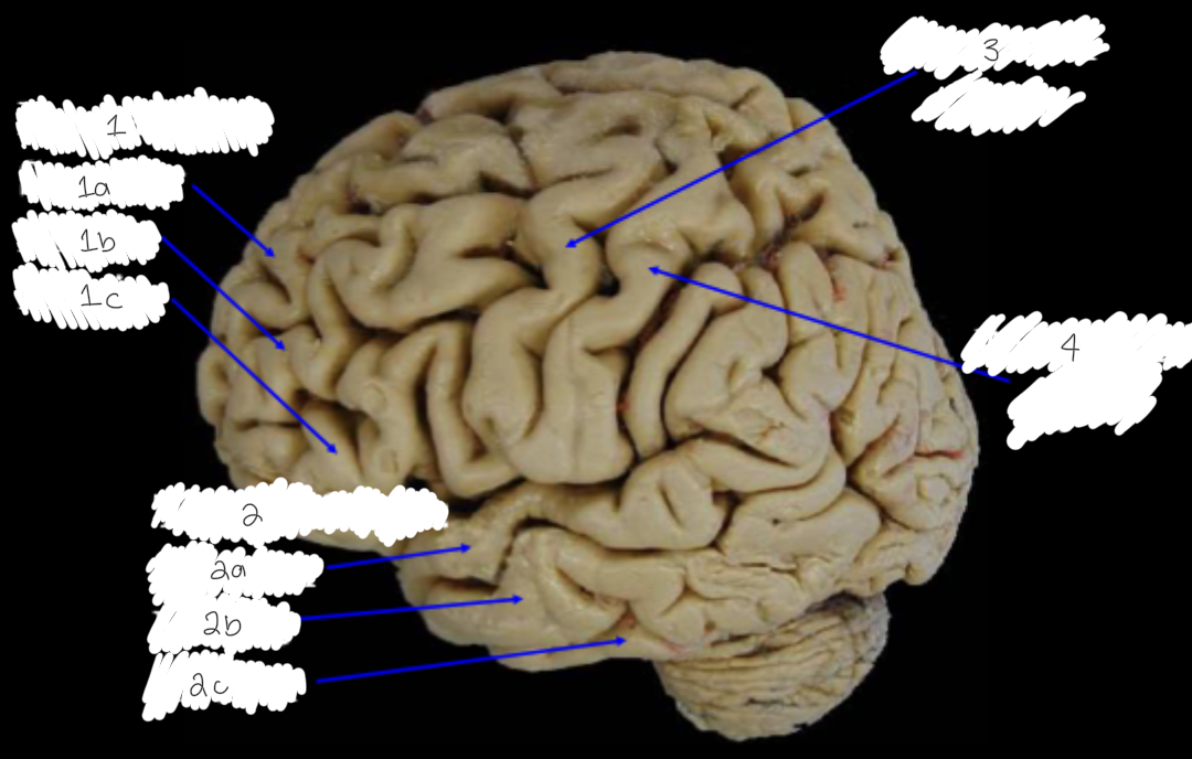 <p>Label this diagram</p>