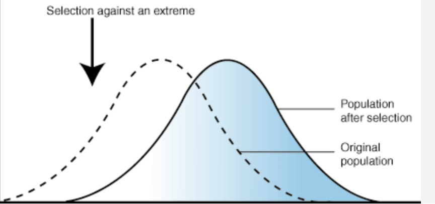 <p>one phenotypic extreme is selected at the expense of another </p>