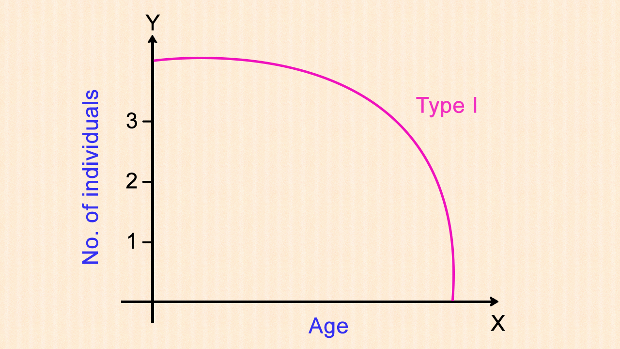 <p>type I survivorship curve</p>