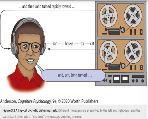 <ul><li><p>Participants wear a set of headphones</p></li><li><p>They hear 2 messages simultaneously (one in each ear)</p></li><li><p>Participants must ‘shadow’ one message and ignore the other</p></li></ul>